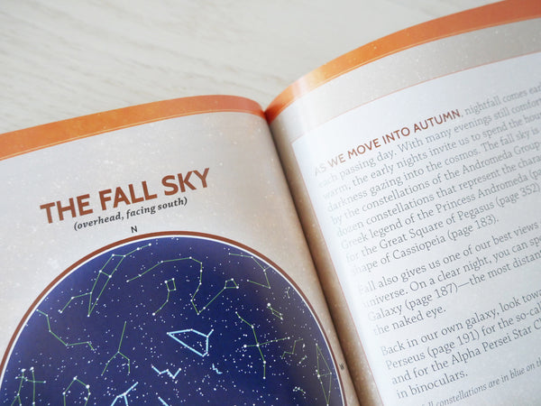 Night Sky: A Field Guide To The Constellations