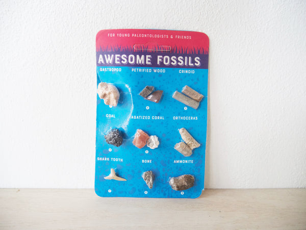 Fossil Card