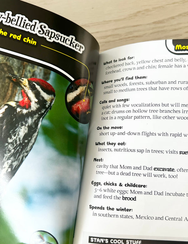 Kid’s Guide to Birds in Minnesota